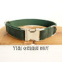 Lovely GREEN DAY dog collar 5 sizes