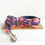 Lovely DEEP GRAFFITI  nylon dog collars and leashes 5 sizes