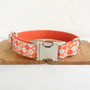 Lovely BISCUIT 5 sizes nylon dog collars and leashes set