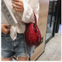 2020 Summer small portable bag new dinosaur egg shoulder bag shoulder bag Luxury Handbags