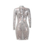Women Sequins Long Sleeve Gorgeous Turtleneck Bodycon Mini Party Dresses