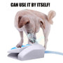 Outdoor Pet Dog Water Fountain