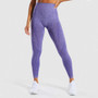 Seamless High Waist Athletic Gym Sport Leggings Women Tummy Control Workout Fitness Tights Flexible Nylon Yoga Pants