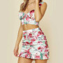 Pink Roses Crop Top and Skirt