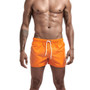 Vibrant Swim Shorts