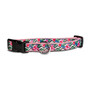 Frenchie Supply Collar - Floral