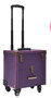 Portable Professional Trolley Cosmetic case Bag Suitcase For Makeup with wheels Large Capacity Women Box Nails Beauty Luggage