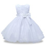 Flower Girls Dresses for Princess Party