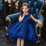 Kids Elegant Wedding Flower Girl Dress Princess Party