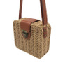 Square Crossbody Straw Beach Bag