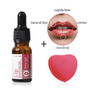 Lip Essential Oil & Plumper Set