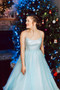 Light Blue Elegant Spaghetti Straps Plus Sizes Long Princess Prom Dresses M1081