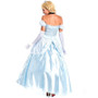 Princess Cinderella Costume Costume