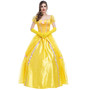 Beauty and the Beast costume