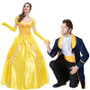 Beauty and the Beast costume