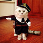 Pet POLICE Costume 2016 New Arrival Pet Funny Costumes for Cats and Small Dogs Party Halloween Pet Clothes Policeman Dog Clothes