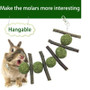 Hanging Molar Treat Toy for Bunnies & Rabbits