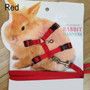 Soft Leash & Harness for Rabbits