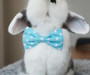 Polka-Dot Bow Ties for Bunnies & Rabbits