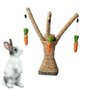 Hanging Treat Toy for Bunnies & Rabbits
