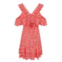 New Floral Print Ruffle Frill  Summer Dress