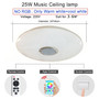 Music Reactive LED Ceiling Lights