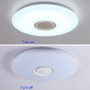 Music Reactive LED Ceiling Lights