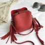 Tassel Shoulder Bag