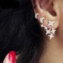 Crystal Stars Stud Earrings