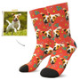 Custom Dog Face Socks Hermes - Best Gifts For Dog Lovers