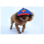 Cartoon Dog Baseball Cap