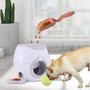 Automatic Ball Launcher & Feeder