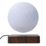 Levitating Luna Light Lamp