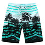 2020 Men Summer Style Beach Quick Dry Coconut Tree Printing Shorts