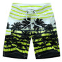 2020 Men Summer Style Beach Quick Dry Coconut Tree Printing Shorts