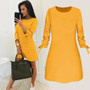 Pin O-Neck Solid Long Sleeve Dress