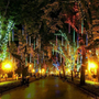 Snow Fall LED Lights