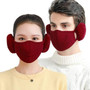 Winter Earmuff Mask