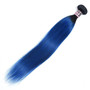 Hairocracy Premium Ombre Straight Hair Bundles Red/Blue/Grey/Orange and more