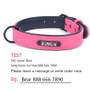 Donut Paws™ Personalized Dog Collars