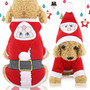 Dog Christmas Costumes