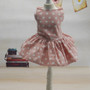 Chic Pink or Blue Polka Dot Dog Dress w/Pleated Skirt