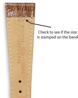 Watch band size guide