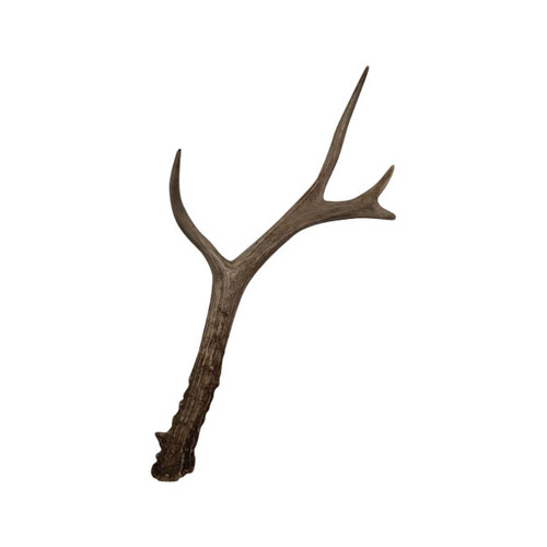 Deer Horn Branch