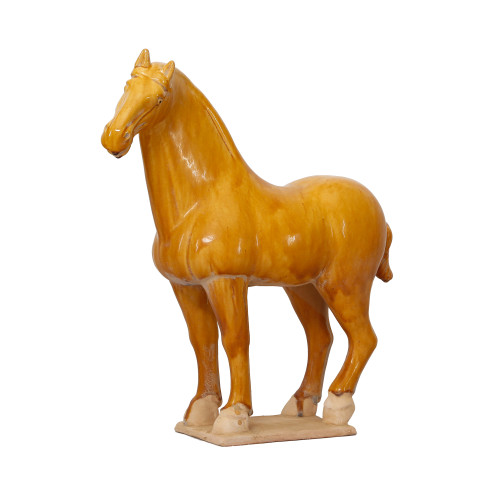 Stallion Medium - Yellow