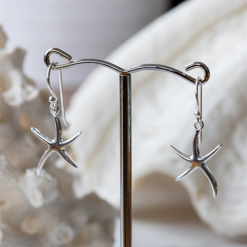 Miriam Drop Earrings - Silver
