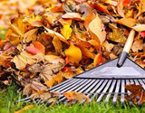 5 Top Tips for Caring for Your Garden in Autumn