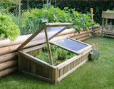 Can You Grow Herbs Outside All Year Round?