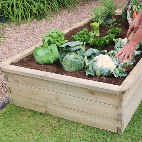 Raised Beds