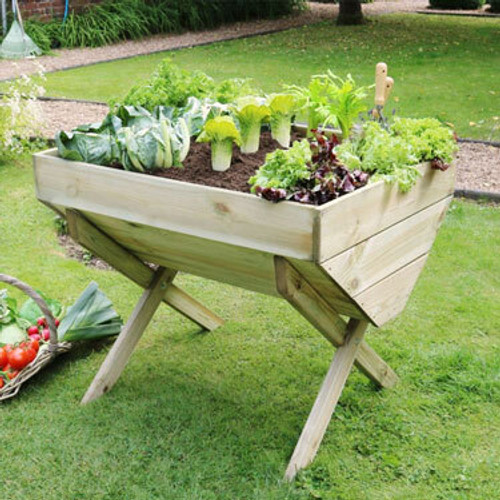 Veg Beds